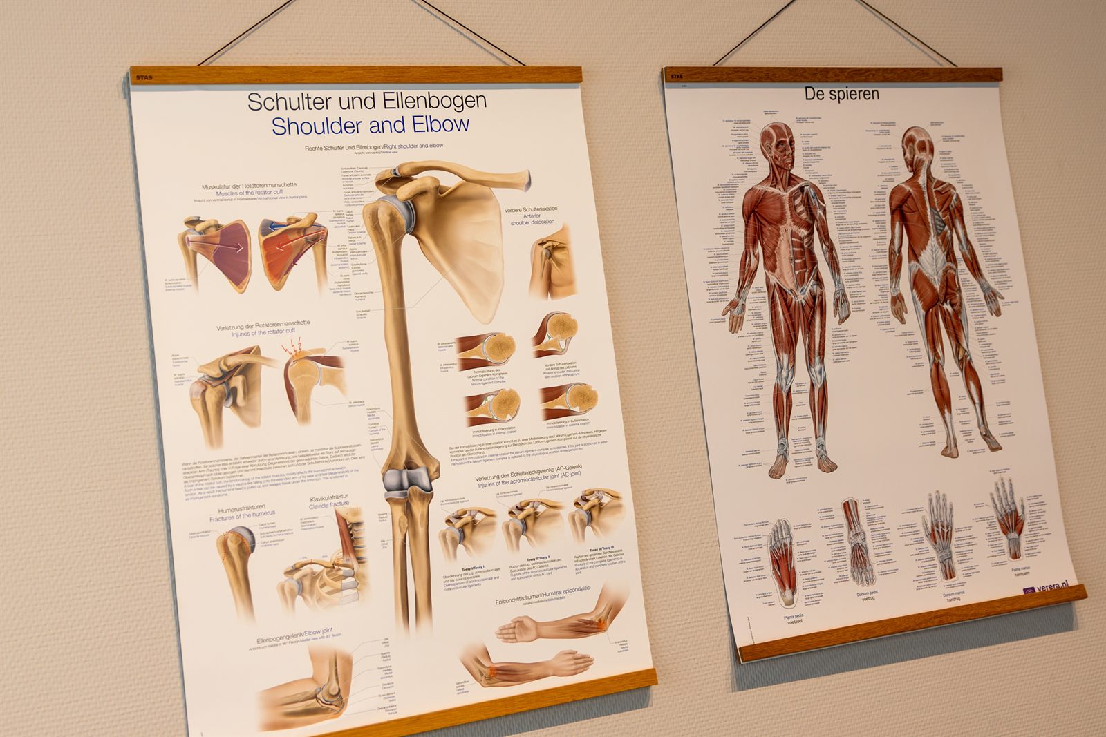 Anatomische posters van het menselijk lichaam in de praktijk